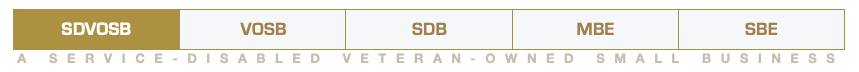 Dearborn One status strip: SDVOSB, VOSB, SDB, MBE, SBE